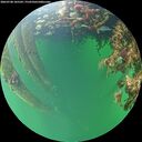 ./images/calvert/underwater/20260708/underwater20260708_185502M.jpg