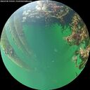 ./images/calvert/underwater/20260708/underwater20260708_193501M.jpg