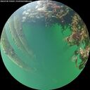 ./images/calvert/underwater/20260708/underwater20260708_195001M.jpg