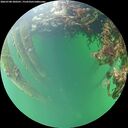 ./images/calvert/underwater/20260708/underwater20260708_200501M.jpg