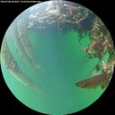./images/calvert/underwater/20260708/underwater20260708_201002M.jpg