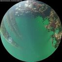 ./images/calvert/underwater/20260708/underwater20260708_203501M.jpg