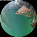 ./images/calvert/underwater/20260708/underwater20260708_204001M.jpg