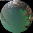 ./images/calvert/underwater/20260708/underwater20260708_205501M.jpg