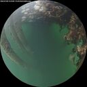 ./images/calvert/underwater/20260708/underwater20260708_212501M.jpg
