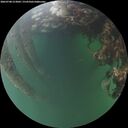 ./images/calvert/underwater/20260708/underwater20260708_213001M.jpg