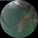 ./images/calvert/underwater/20260708/underwater20260708_214501M.jpg