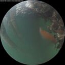 ./images/calvert/underwater/20260708/underwater20260708_215501M.jpg