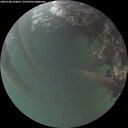 ./images/calvert/underwater/20260708/underwater20260708_220001M.jpg
