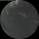 ./images/calvert/underwater/20260709/underwater20260709_045502M.jpg