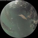 ./images/calvert/underwater/20260709/underwater20260709_051001M.jpg