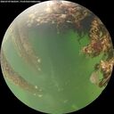 ./images/calvert/underwater/20260709/underwater20260709_060501M.jpg