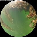 ./images/calvert/underwater/20260709/underwater20260709_061001M.jpg
