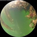 ./images/calvert/underwater/20260709/underwater20260709_061501M.jpg