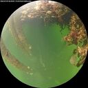./images/calvert/underwater/20260709/underwater20260709_062002M.jpg