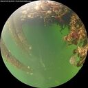 ./images/calvert/underwater/20260709/underwater20260709_062501M.jpg