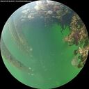 ./images/calvert/underwater/20260709/underwater20260709_064501M.jpg