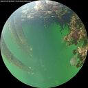 ./images/calvert/underwater/20260709/underwater20260709_065002M.jpg