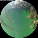 ./images/calvert/underwater/20260709/underwater20260709_065501M.jpg