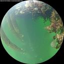 ./images/calvert/underwater/20260709/underwater20260709_070001M.jpg