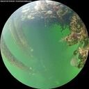 ./images/calvert/underwater/20260709/underwater20260709_070501M.jpg
