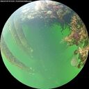 ./images/calvert/underwater/20260709/underwater20260709_071501M.jpg