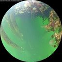 ./images/calvert/underwater/20260709/underwater20260709_072001M.jpg