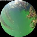 ./images/calvert/underwater/20260709/underwater20260709_073002M.jpg