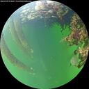 ./images/calvert/underwater/20260709/underwater20260709_074001M.jpg