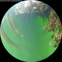 ./images/calvert/underwater/20260709/underwater20260709_074502M.jpg