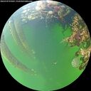 ./images/calvert/underwater/20260709/underwater20260709_075001M.jpg