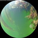 ./images/calvert/underwater/20260709/underwater20260709_075501M.jpg