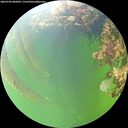 ./images/calvert/underwater/20260709/underwater20260709_082001M.jpg