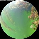 ./images/calvert/underwater/20260709/underwater20260709_082501M.jpg