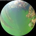 ./images/calvert/underwater/20260709/underwater20260709_083501M.jpg
