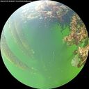 ./images/calvert/underwater/20260709/underwater20260709_084001M.jpg