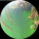 ./images/calvert/underwater/20260709/underwater20260709_091501M.jpg