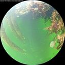 ./images/calvert/underwater/20260709/underwater20260709_092001M.jpg