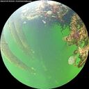 ./images/calvert/underwater/20260709/underwater20260709_092501M.jpg