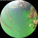 ./images/calvert/underwater/20260709/underwater20260709_093501M.jpg