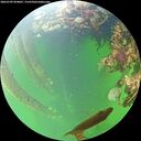 ./images/calvert/underwater/20260709/underwater20260709_094001M.jpg