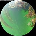 ./images/calvert/underwater/20260709/underwater20260709_094501M.jpg