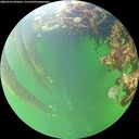 ./images/calvert/underwater/20260709/underwater20260709_095001M.jpg