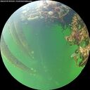 ./images/calvert/underwater/20260709/underwater20260709_095501M.jpg