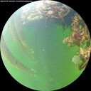 ./images/calvert/underwater/20260709/underwater20260709_102501M.jpg