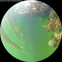 ./images/calvert/underwater/20260709/underwater20260709_110002M.jpg