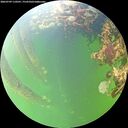./images/calvert/underwater/20260709/underwater20260709_110501M.jpg