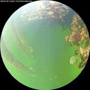 ./images/calvert/underwater/20260709/underwater20260709_111001M.jpg