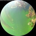 ./images/calvert/underwater/20260709/underwater20260709_112501M.jpg