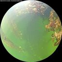 ./images/calvert/underwater/20260709/underwater20260709_121002M.jpg